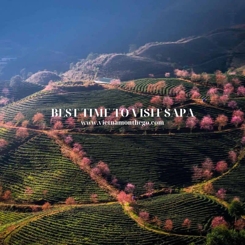 best time to visit Sapa