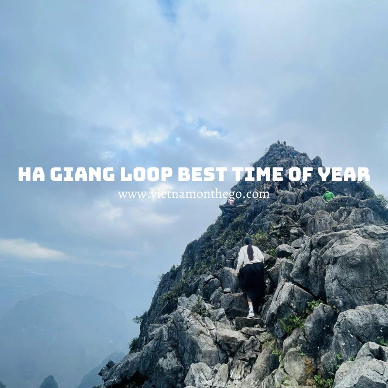 Ha Giang Loop best time of year