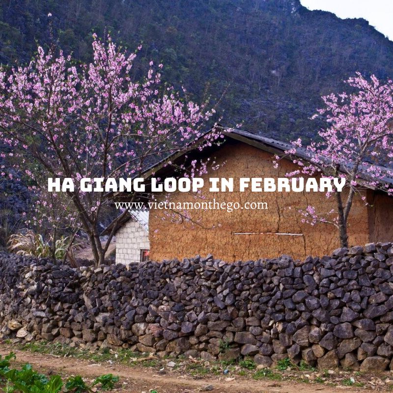 explore Ha Giang Loop in February