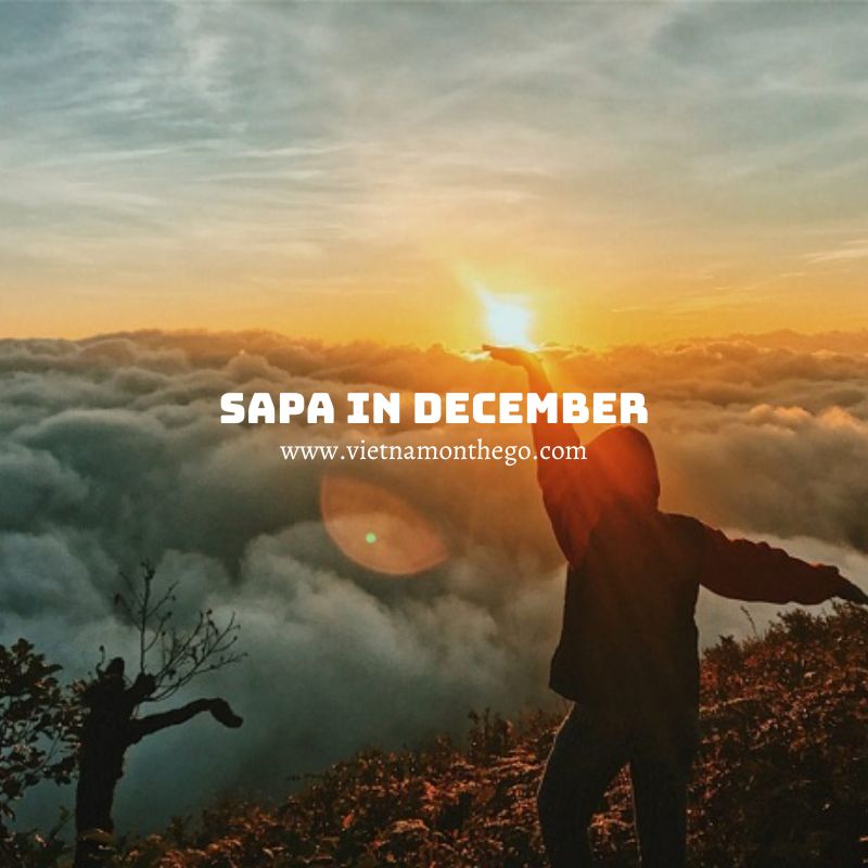 sapa weather in december this year