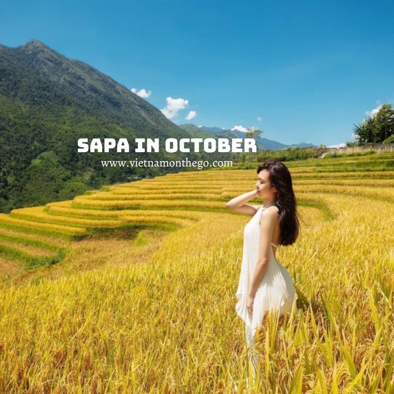 sâp in october things to do