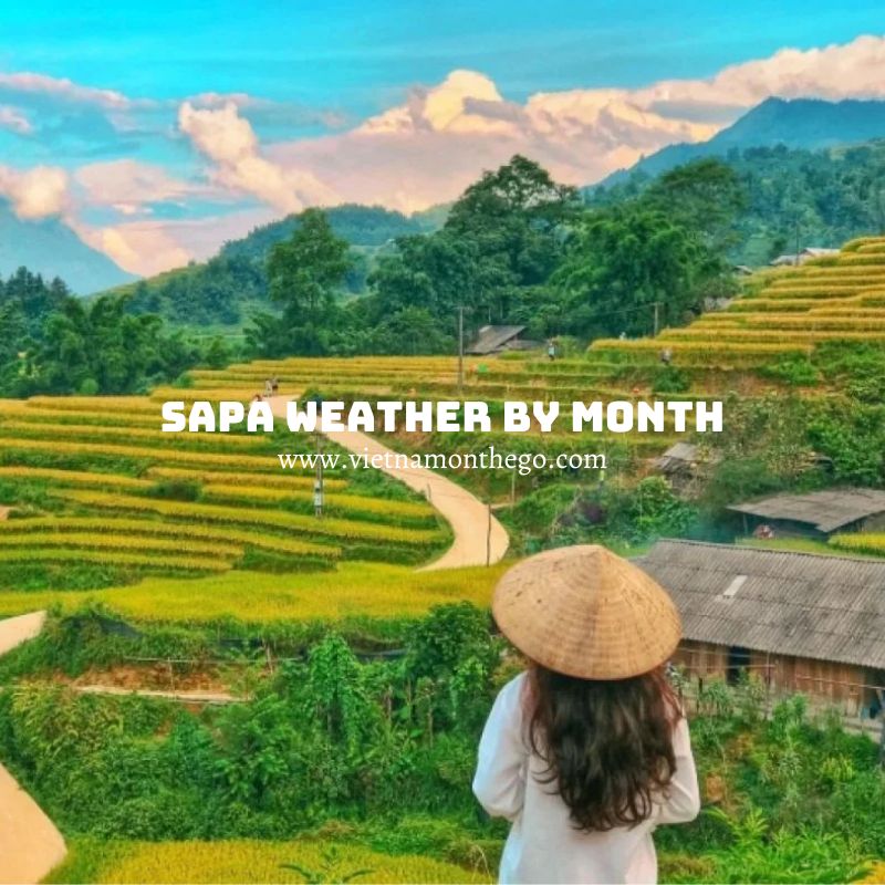 sapa weather in this year