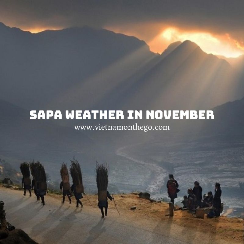 sapa weather in november