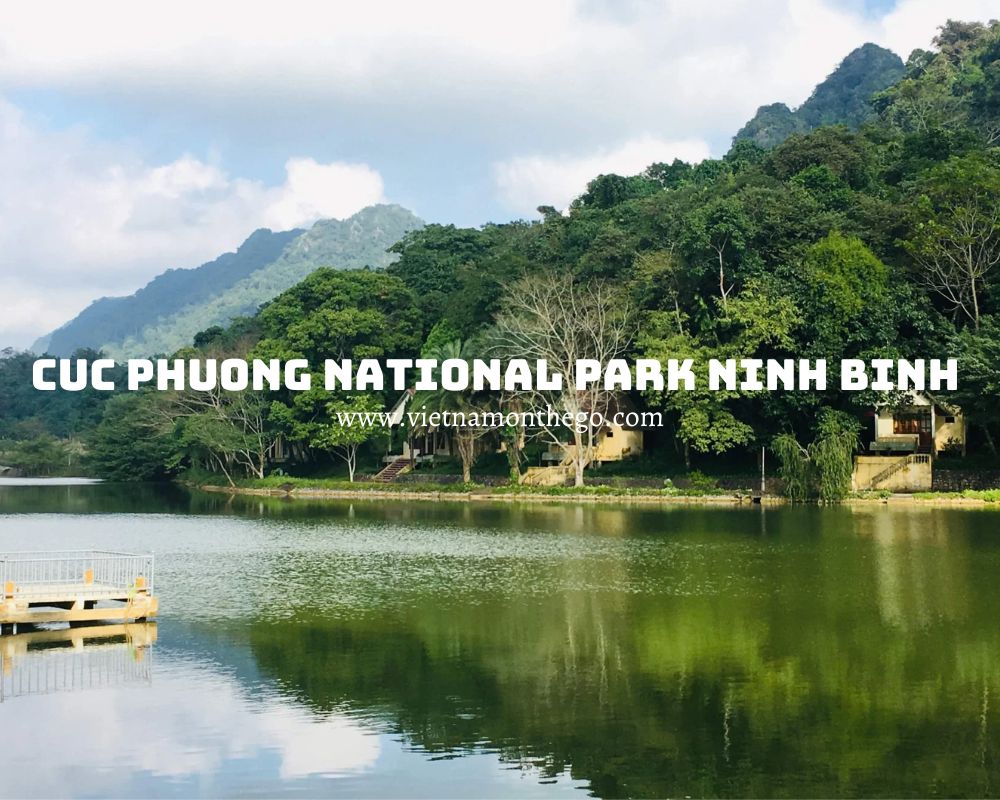 Cuc Phuong National Park Ninh Binh tour