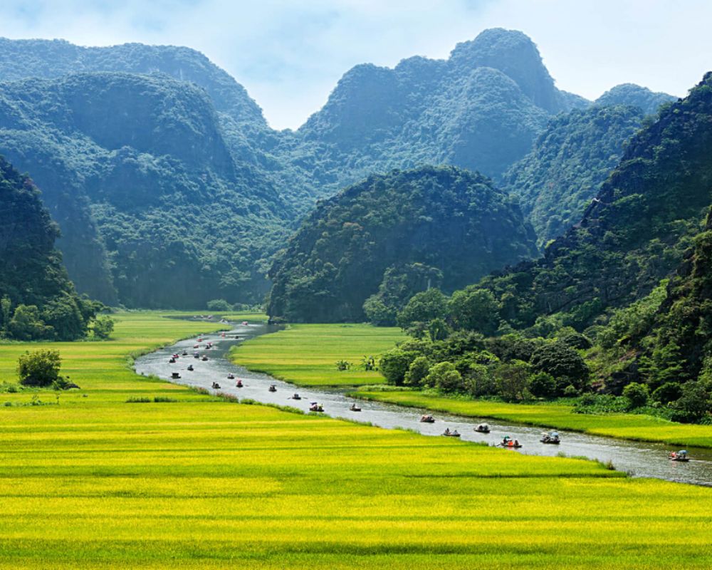 king kong skull island vietnam