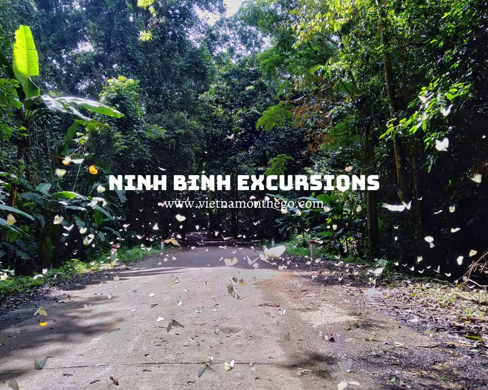 tour Ninh Binh excursions