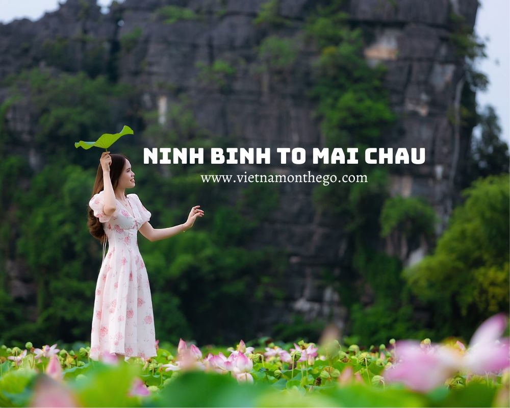 Ninh Binh to Mai Chau transport options