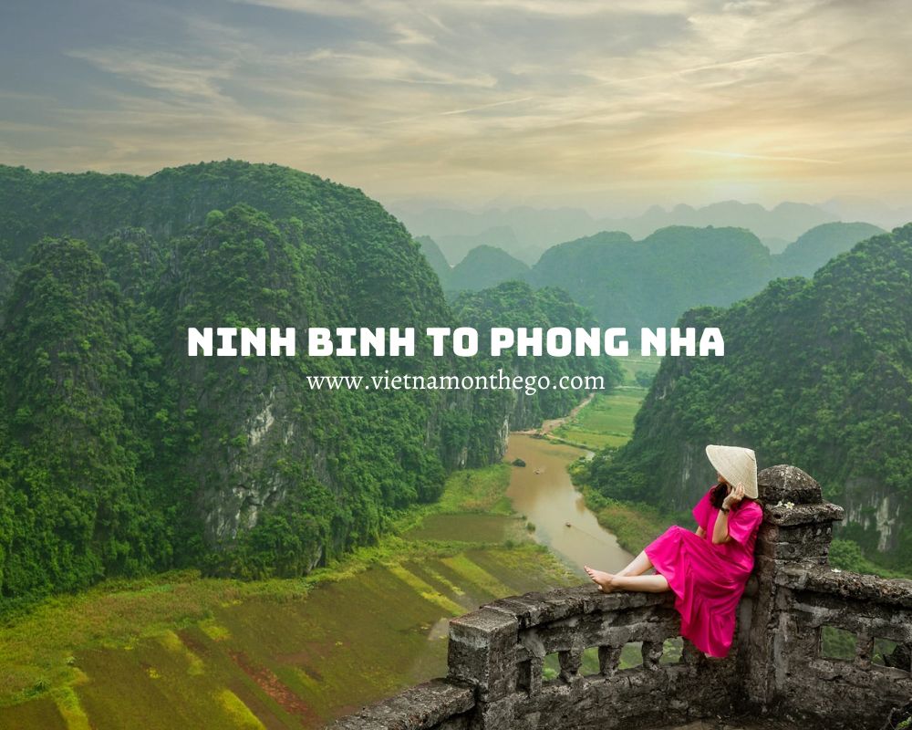 how to get from Ninh Binh to Phong Nha