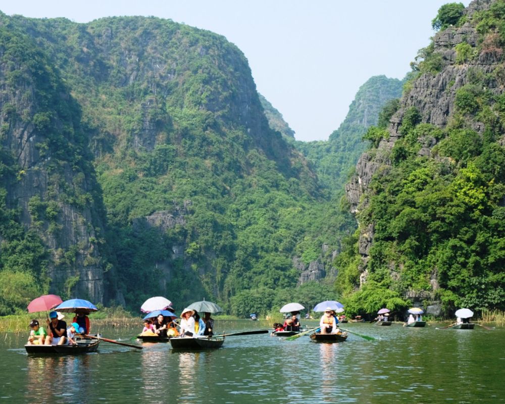 Majestic Tam Coc Rice Fields